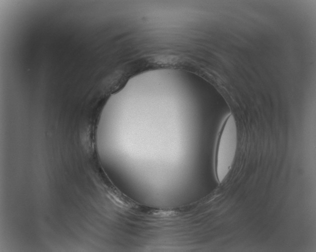 X0000073530428200607311020