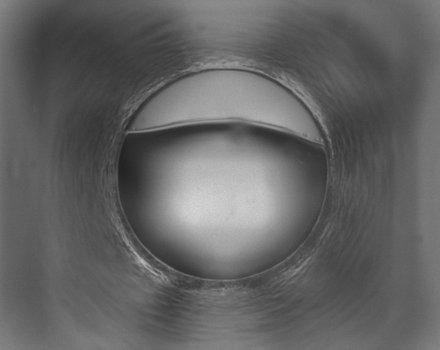 X0000073530433200607311019
