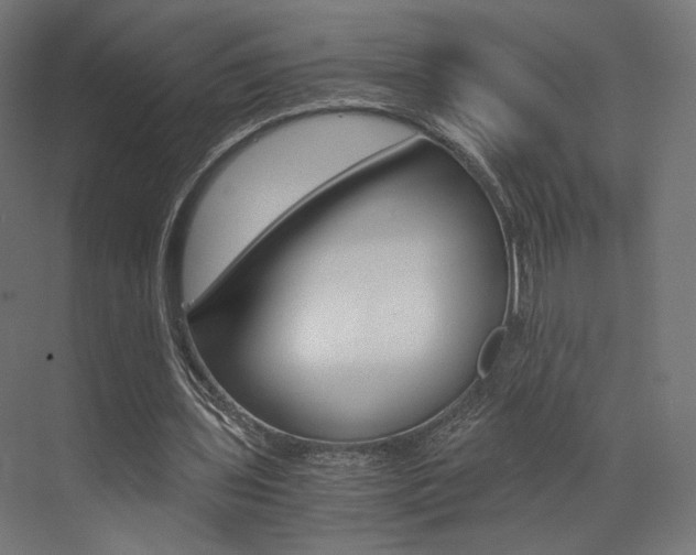 X0000073530435200607311019