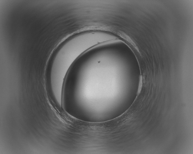 X0000073530436200607311019