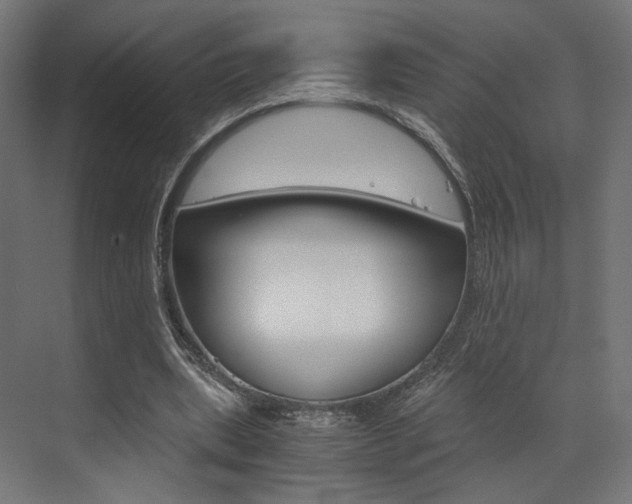 X0000073530439200607311019