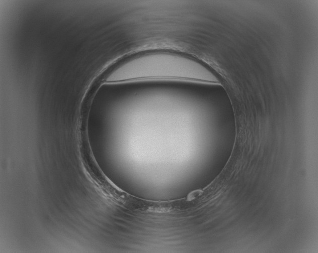 X0000073530440200607311019