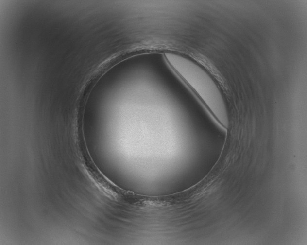 X0000073530442200607311019