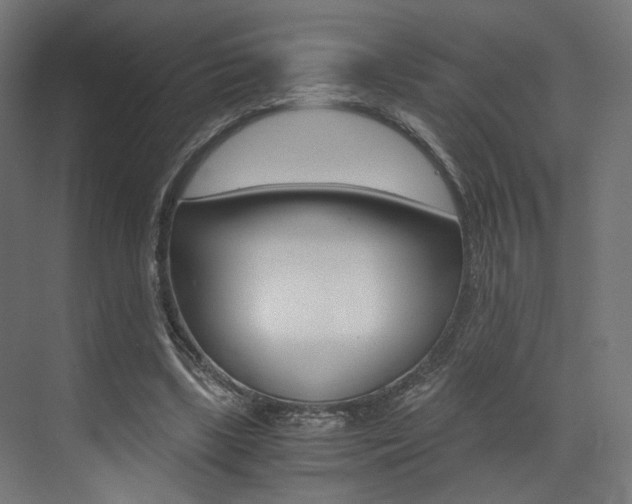 X0000073530443200607311019