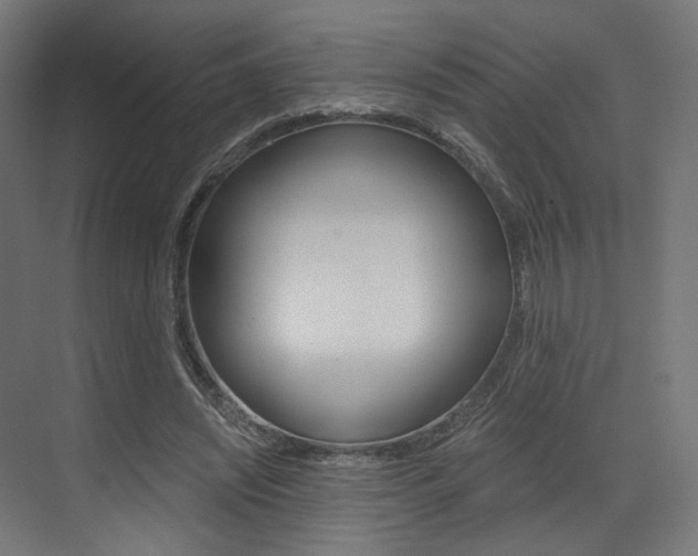 X0000073530444200607311019