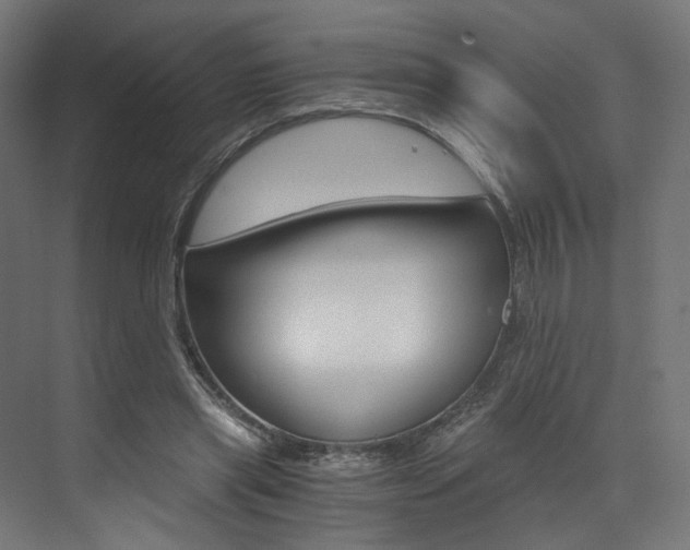 X0000073530445200607311019