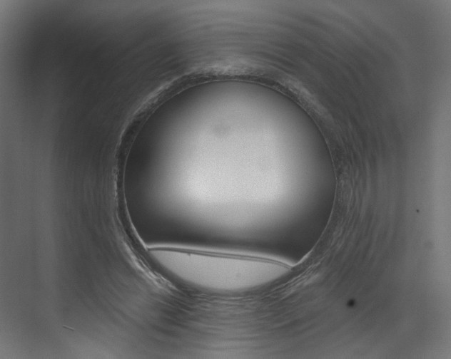 X0000073530446200607311019