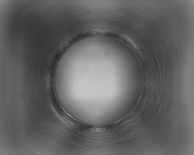 X0000073530451200607311020