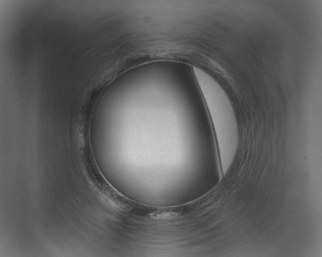 X0000073530452200607311020