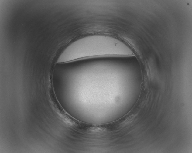 X0000073530453200607311020