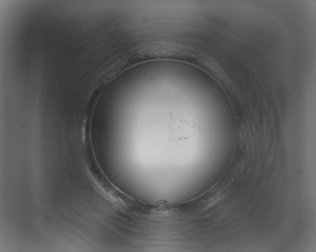 X0000073530454200607311020