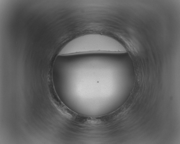 X0000073530455200607311020
