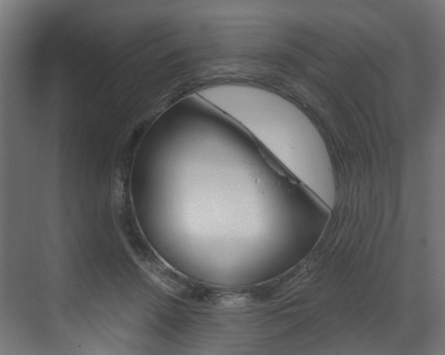 X0000073530456200607311020