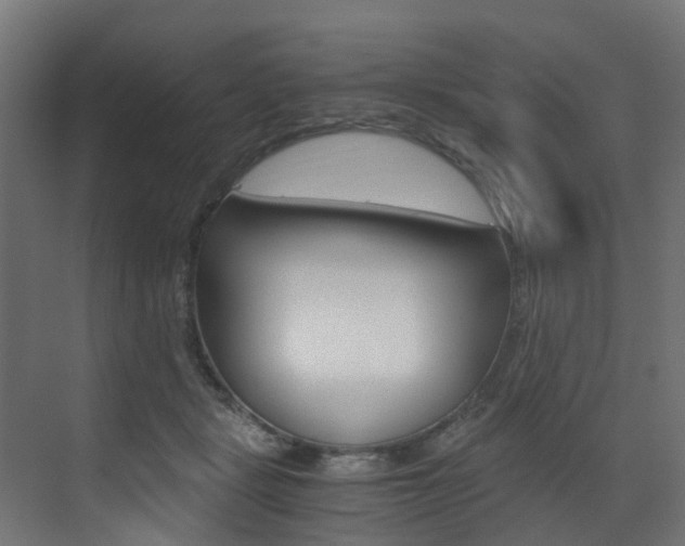 X0000073530461200607311020