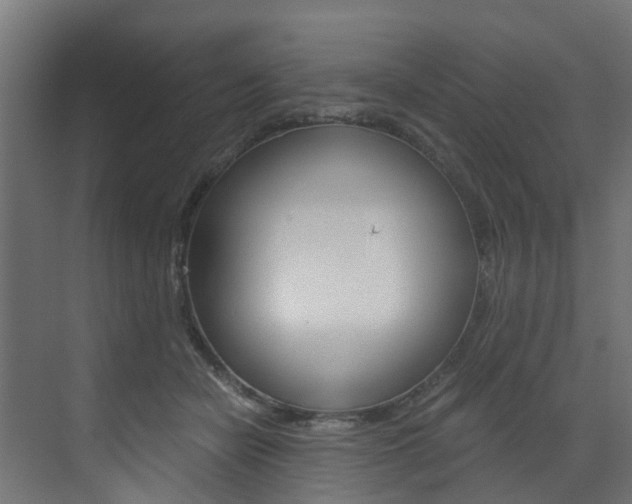 X0000073530462200607311020