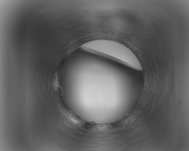 X0000073530479200607311020