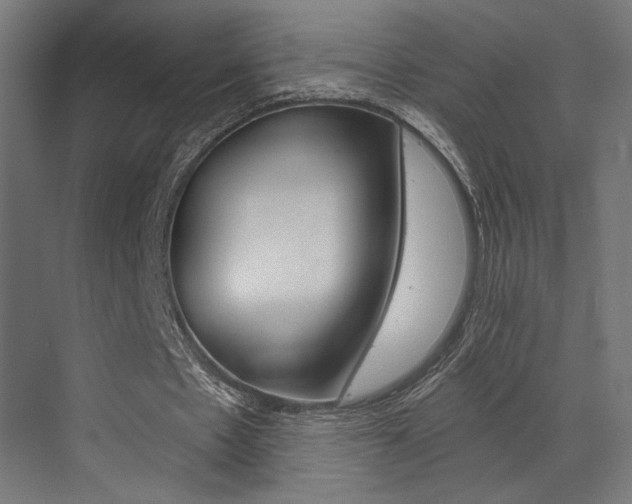 X0000073530481200607311019