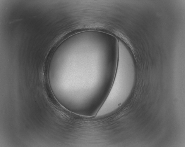 X0000073530483200607311019