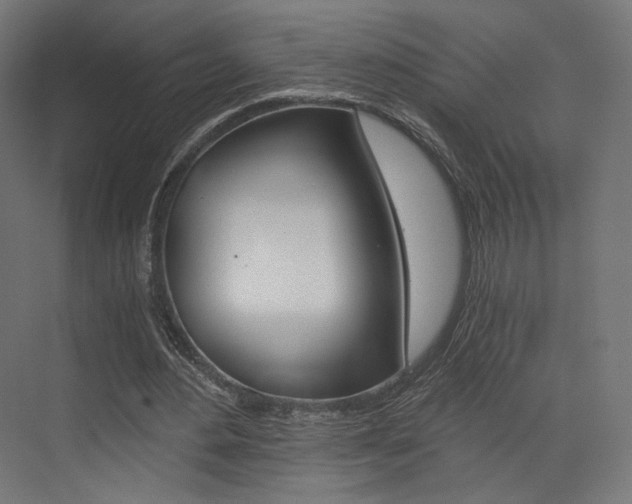 X0000073530484200607311019