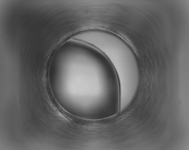 X0000073530485200607311019