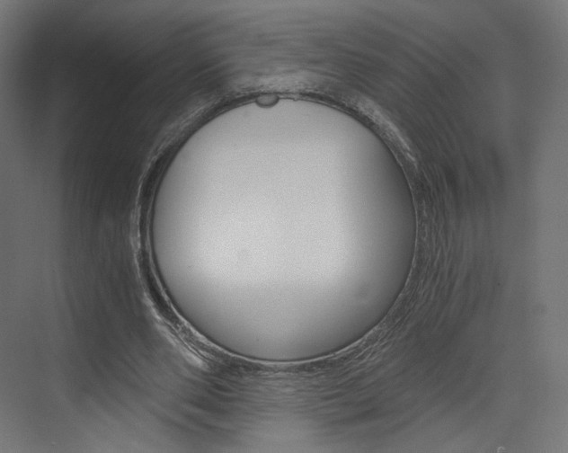 X0000073530486200607311019