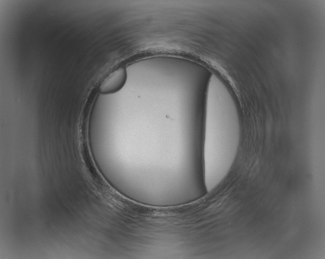 X0000073530487200607311019