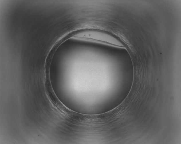 X0000073530488200607311019