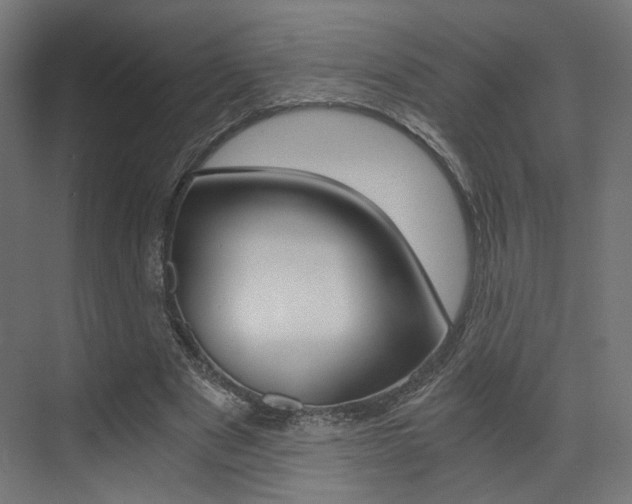 X0000073530489200607311019