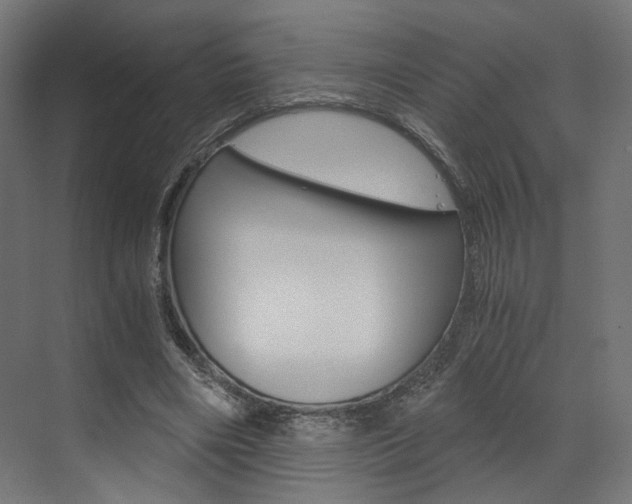 X0000073530490200607311019