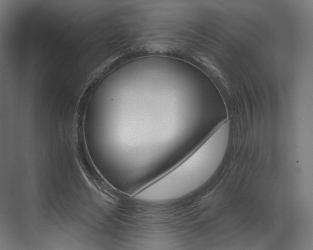X0000073530492200607311019