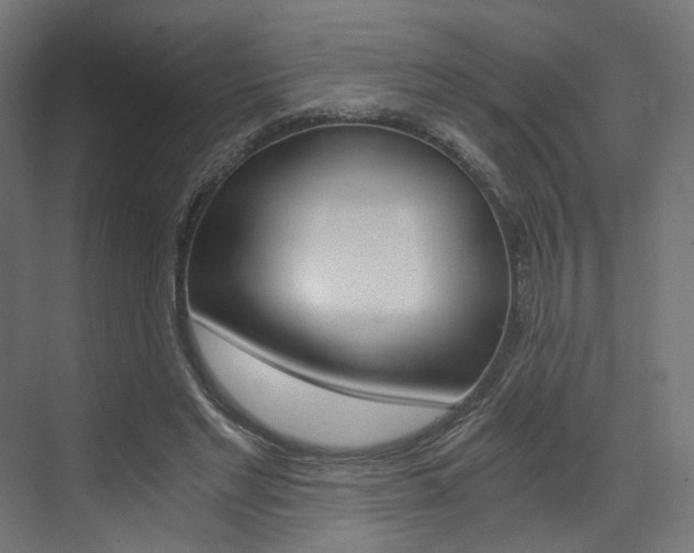 X0000073530493200607311019