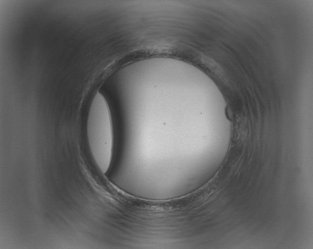 X0000073530494200607311019
