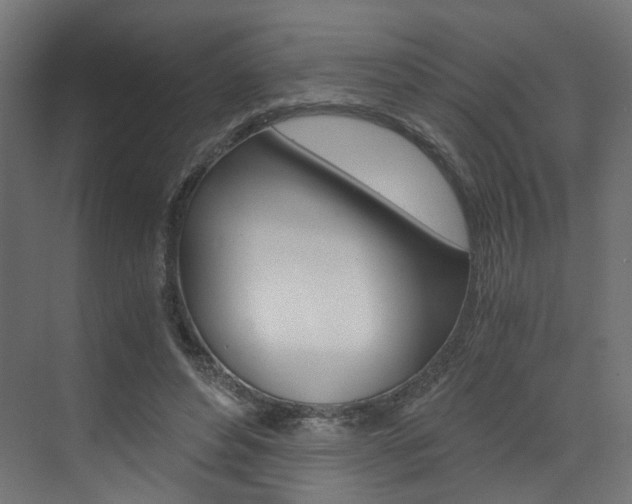 X0000073530496200607311019