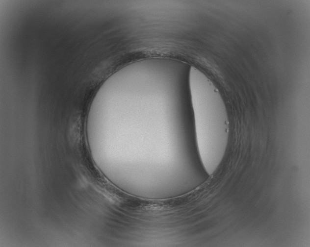 X0000073530498200607311019