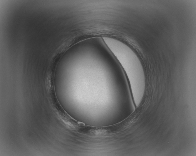 X0000073530501200607311019