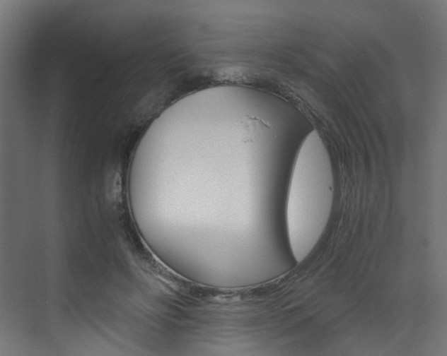 X0000073530502200607311019