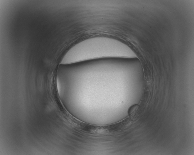 X0000073530503200607311019