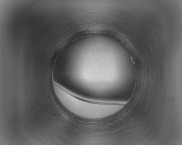 X0000073530505200607311019