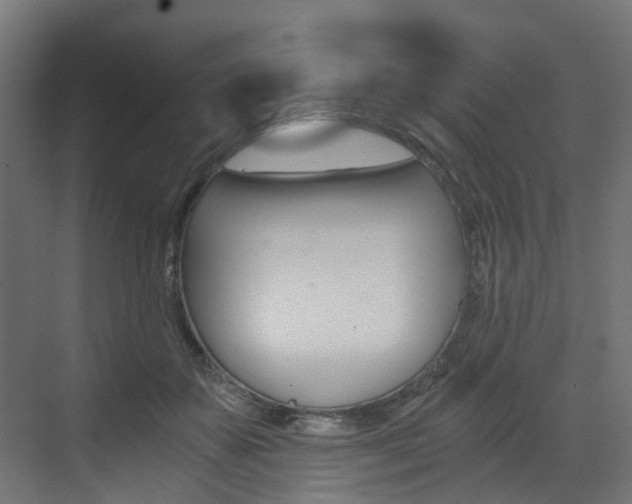 X0000073530507200607311019