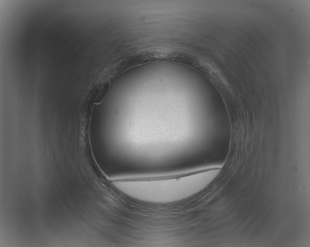 X0000073530509200607311019