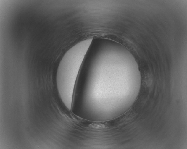 X0000073530512200607311019