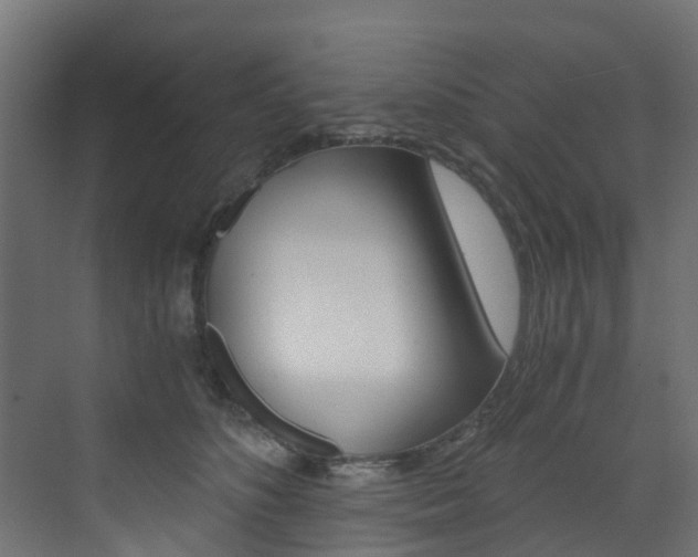 X0000073530516200607311019
