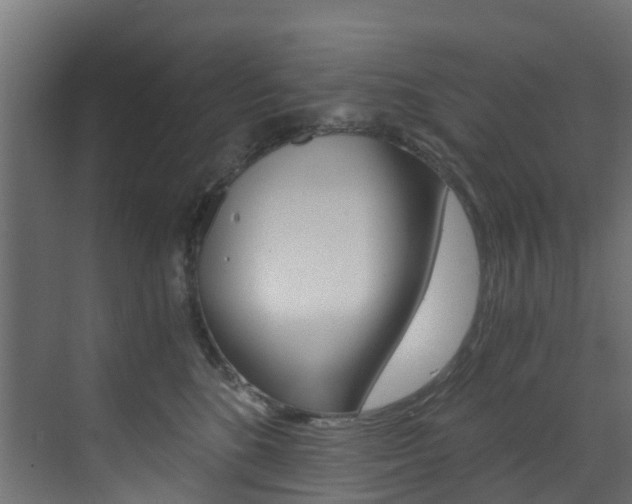X0000073530520200607311019