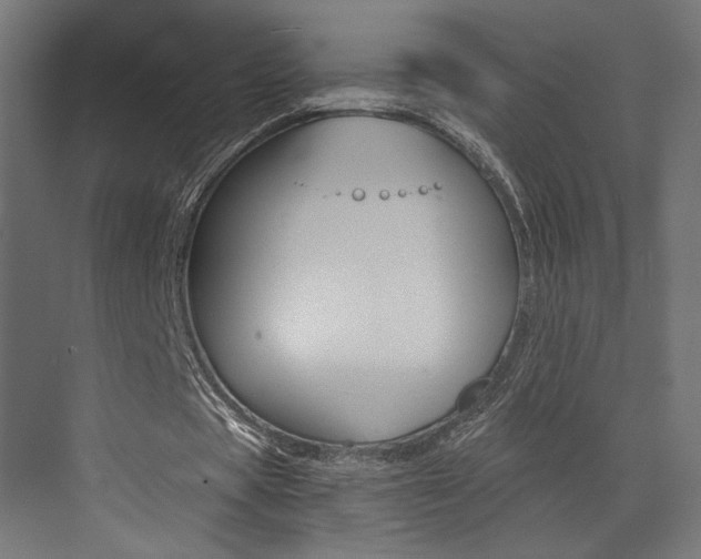 X0000073530529200607311018
