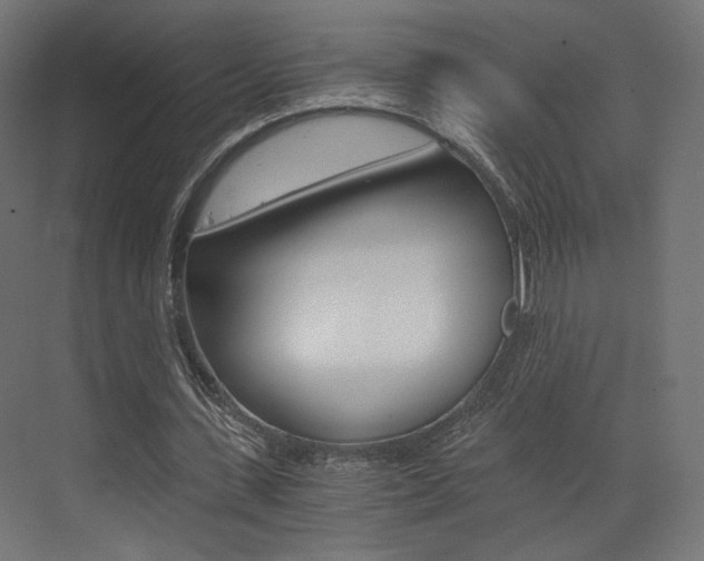 X0000073530531200607311018
