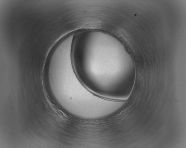 X0000073530532200607311018