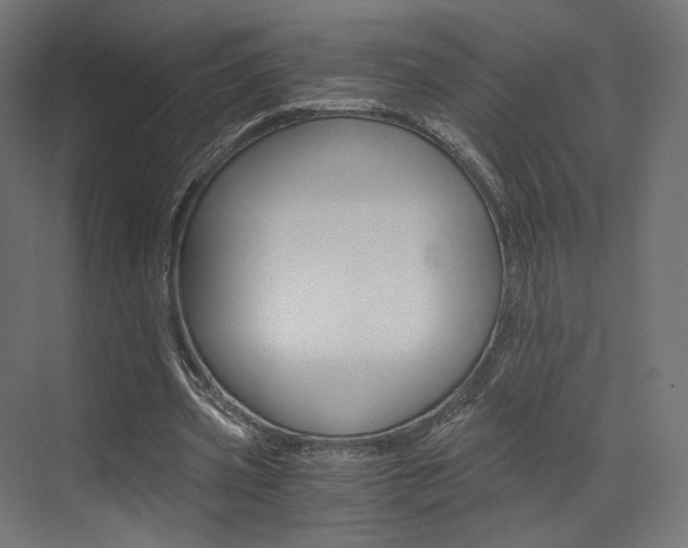 X0000073530533200607311018