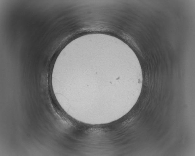 X0000073530534200607311018