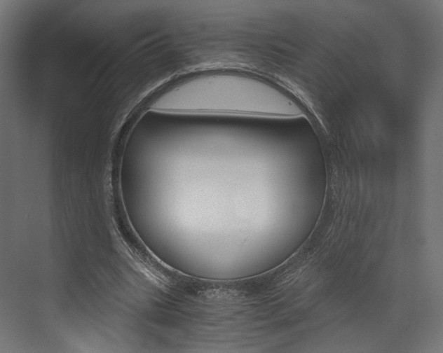 X0000073530535200607311018