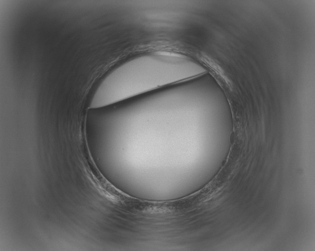 X0000073530537200607311018